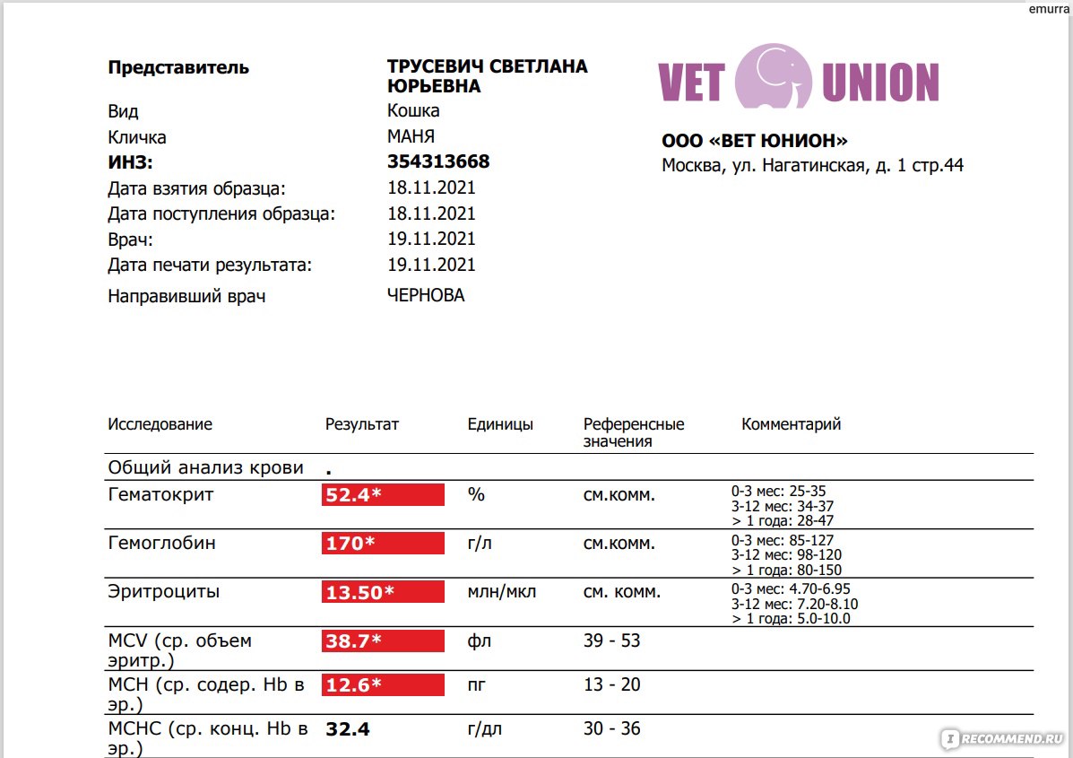 Ветлаборатория Vet Union, Москва - «Как сдать анализы кошке дома? Без  навязывания ненужных услуг.» | отзывы