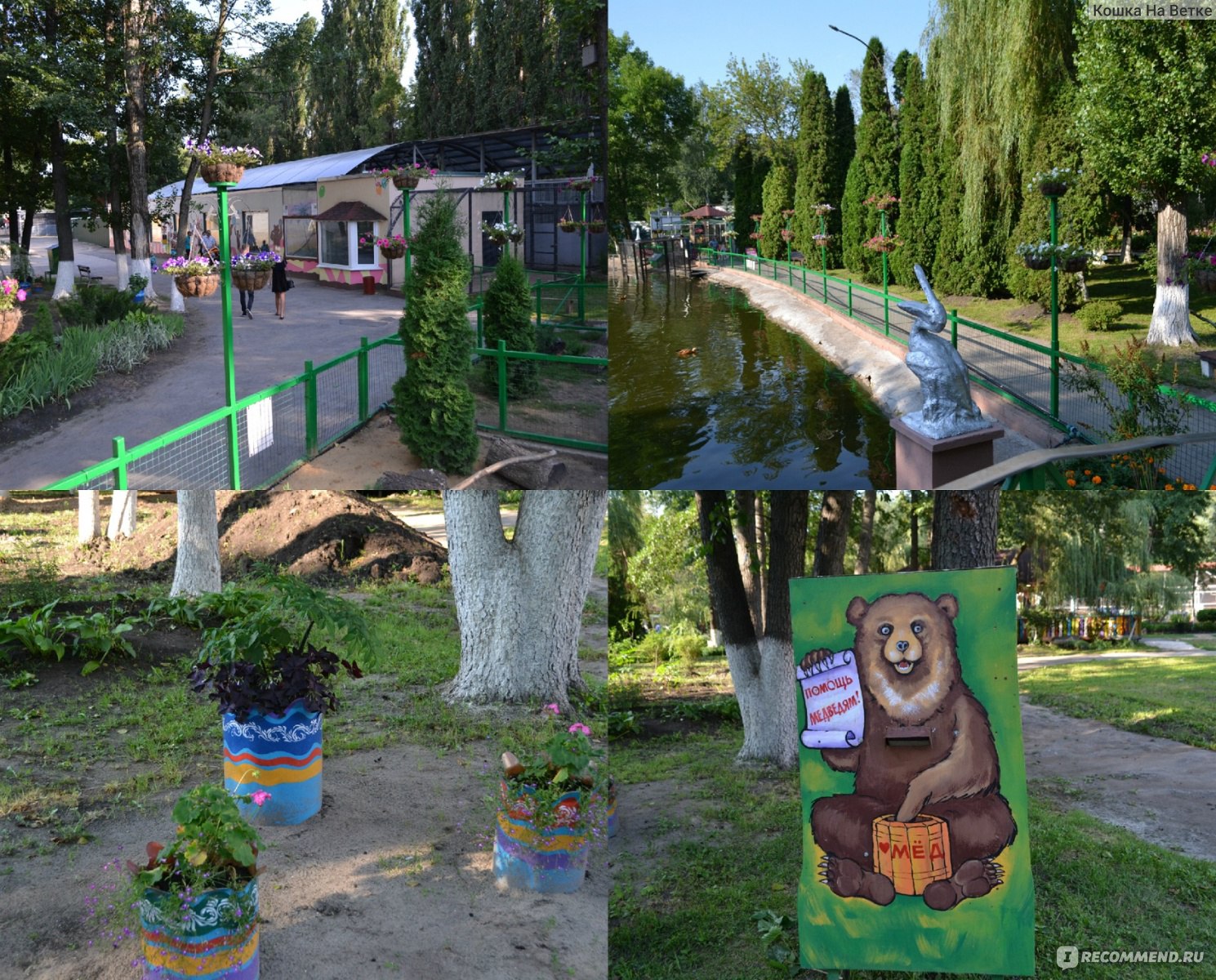 зоопарк город липецк