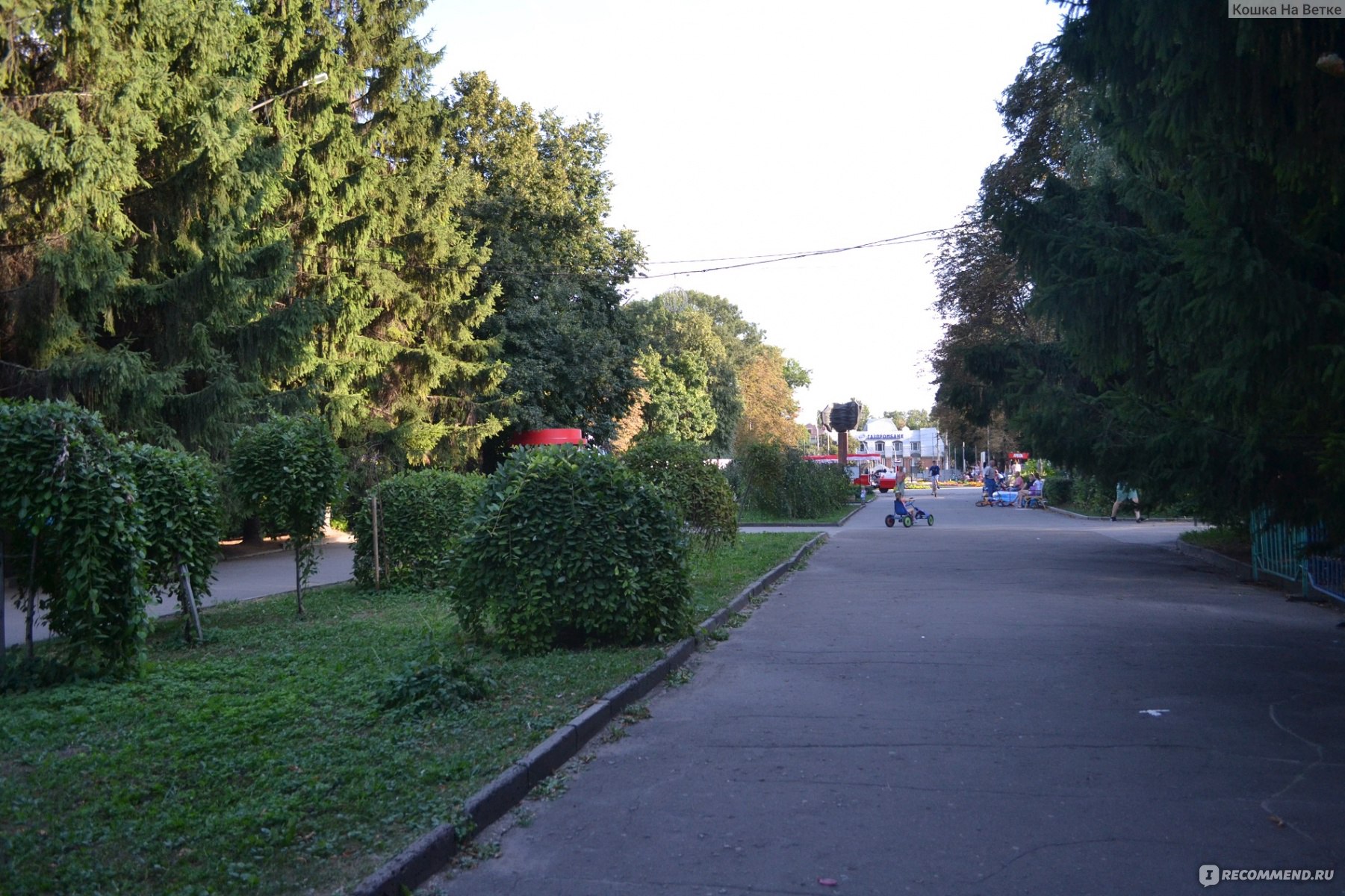 липецк парк быханов сад