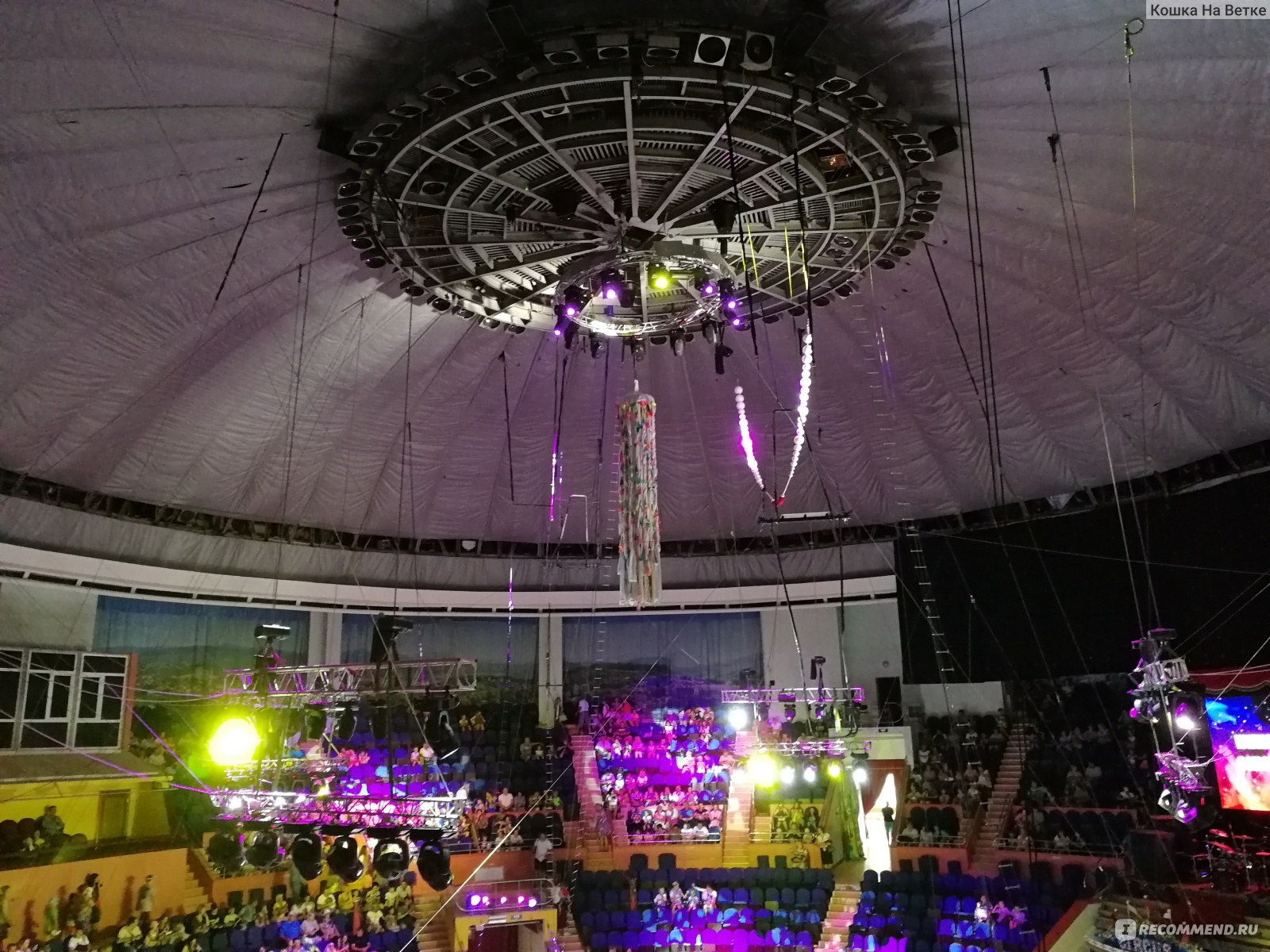 Сочинский цирк фото