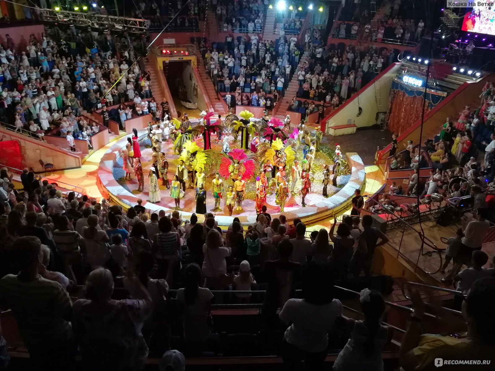Арена цирка Сочи