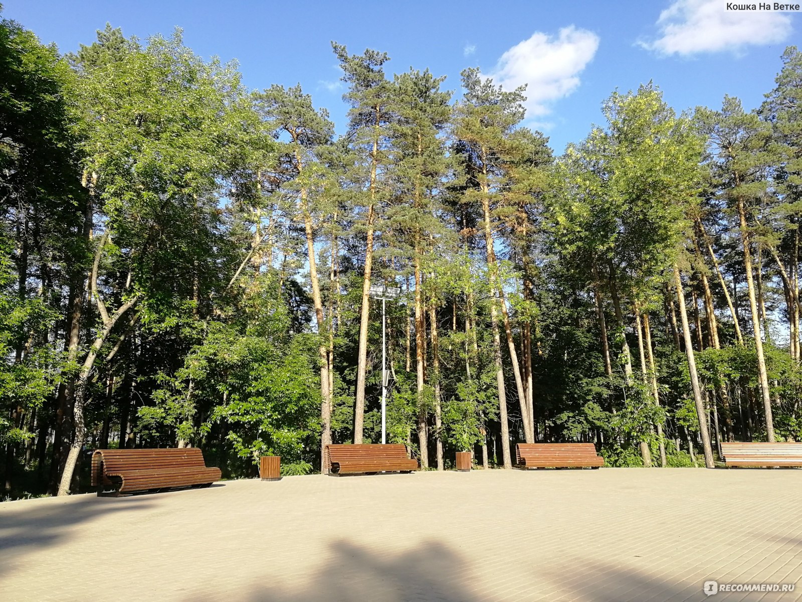парк металлургов липецк