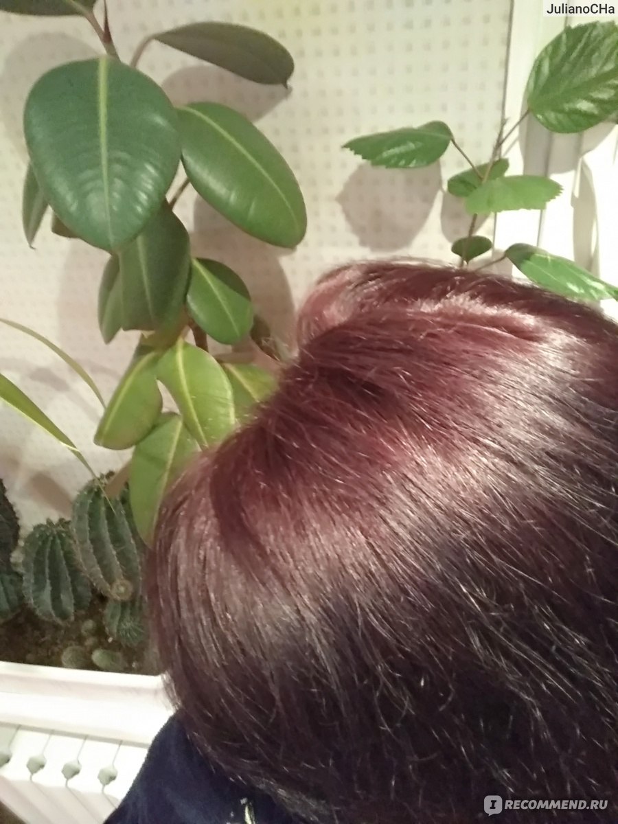 палисандр цвет волос фото эстель