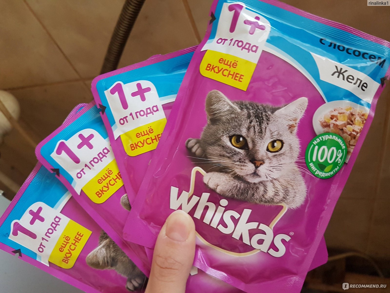 Корм для кошек Whiskas Желе с лососем - «Всегда есть в нашем доме» | отзывы