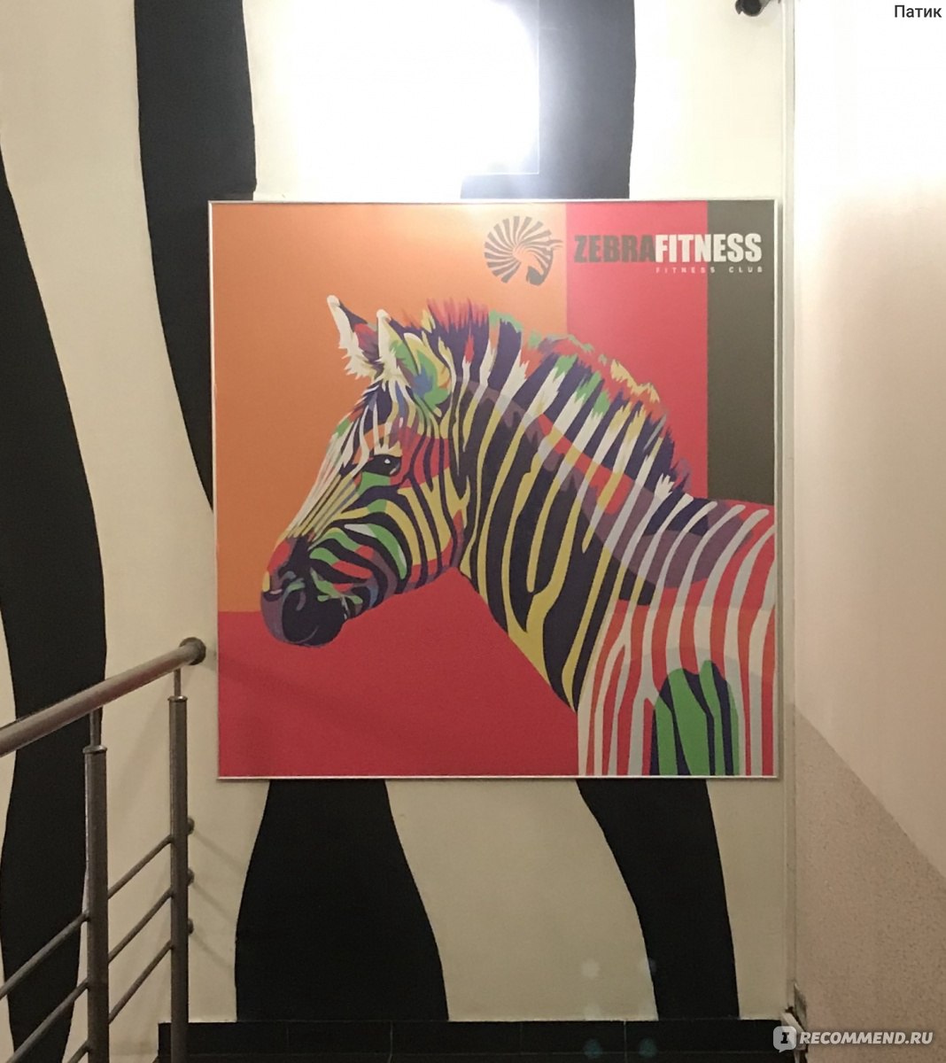 Zebra fitness ( Зебра Фитнес) Братиславская , Москва - «Фитнес клуб на  Братиславской в ТЦ « Бум «. Плюсы и минусы » | отзывы