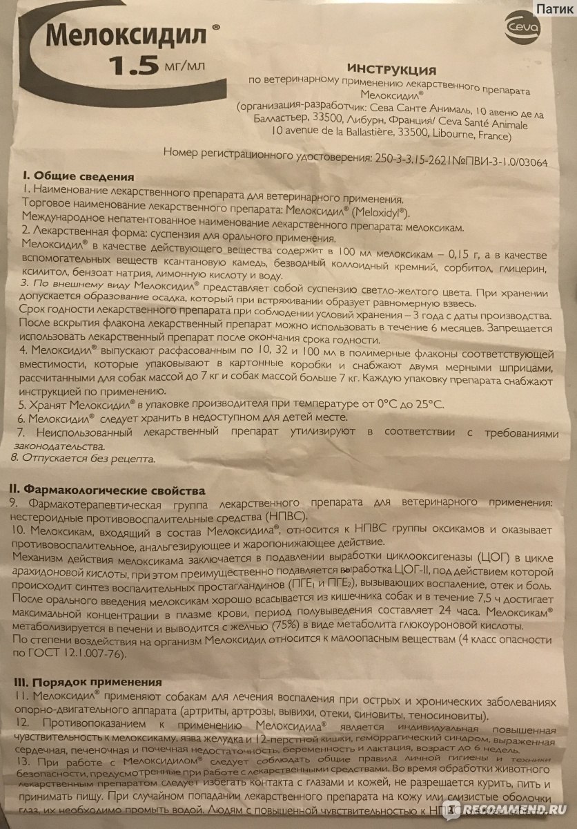 Суспензия Ceva Мелоксидил - «Как избавить собаку от мучительной боли и при  этом не сойти с ума..анамнез ветеринара » | отзывы