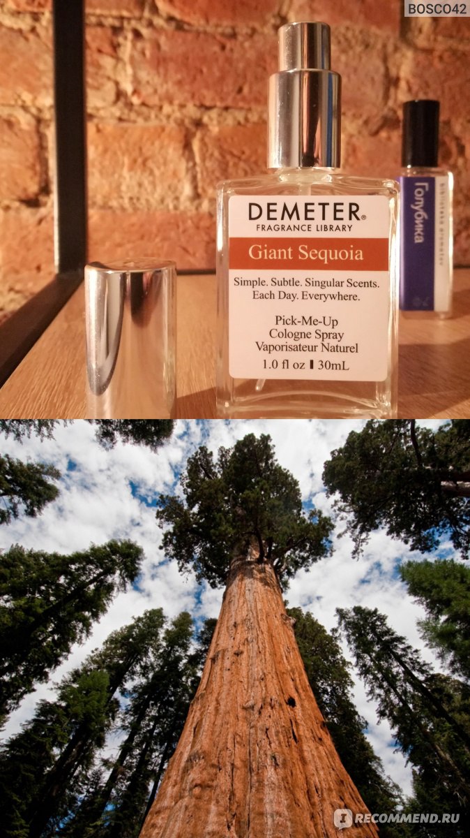 Demeter Fragrance Library Giant Sequoia Гигантская секвойя - «Когда ждала  древесный хвойный аромат, а получила типичный мужской шампунь. С каких пор  Секвойя пахнет мылом?» | отзывы