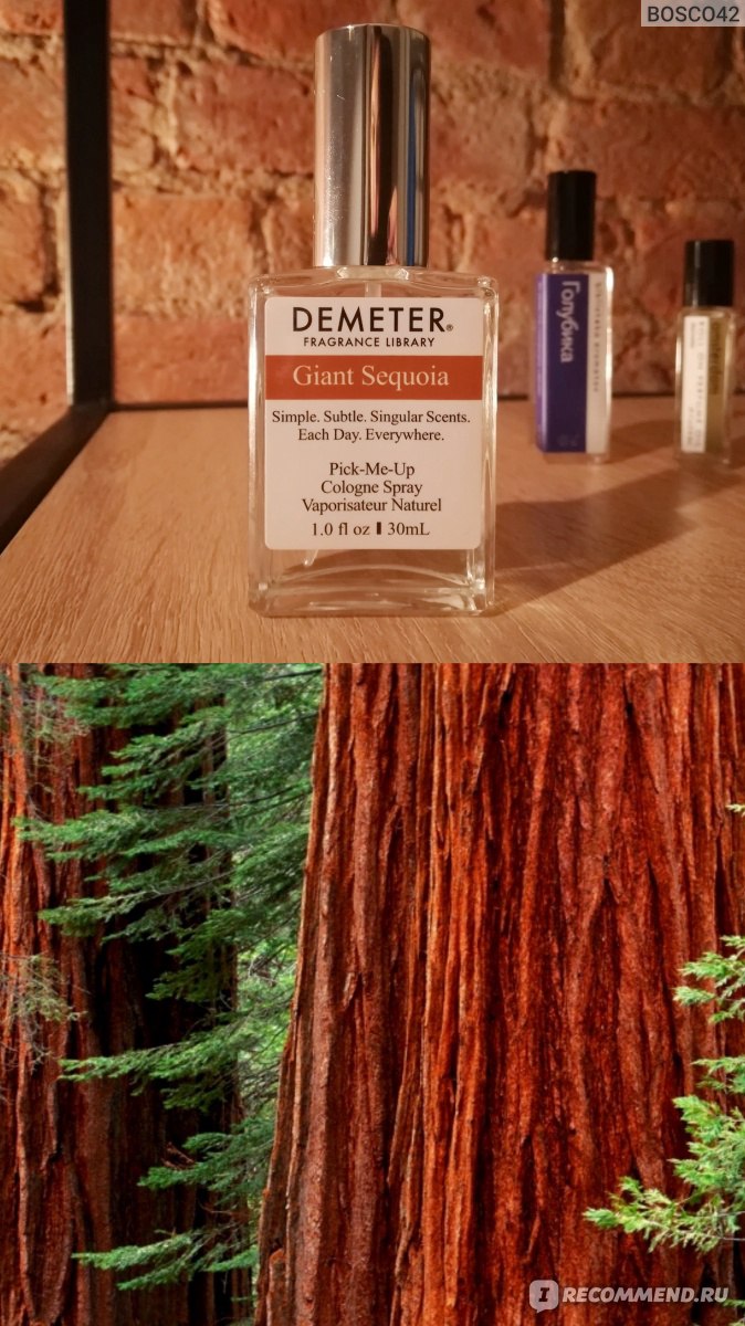 Demeter Fragrance Library Giant Sequoia Гигантская секвойя - «Когда ждала  древесный хвойный аромат, а получила типичный мужской шампунь. С каких пор  Секвойя пахнет мылом?» | отзывы