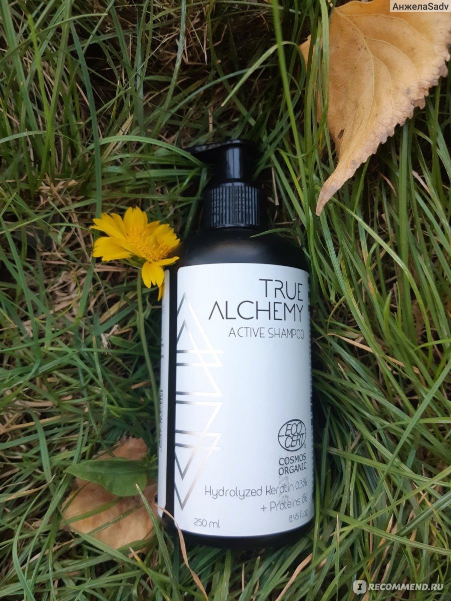 Active отзывы. True Alchemy шампунь. Шампунь Active. Hydrolyzed Keratin. Hydrolyzed Keratin БАД.