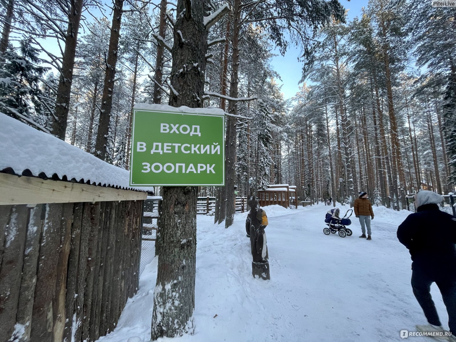 Зоопарк в Вотчине Деда Мороза (Великий Устюг), Великий Устюг - «☆ Зоосад  Деда Мороза при Вотчине. Поездка в 2023 году с детьми. Сосновый лес и  зимняя сказка. Расскажу о концепции, ценах и обитателях ☆» | отзывы