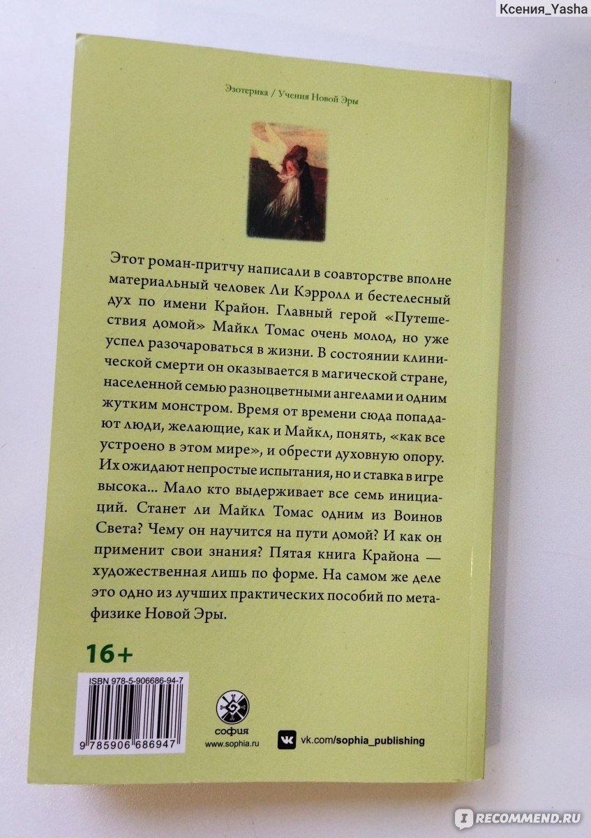 Путешествие домой или Майкл Томас и 7 ангелов. Ли Кэрролл - «Устройство  мира через интересную историю (без спойлеров)» | отзывы