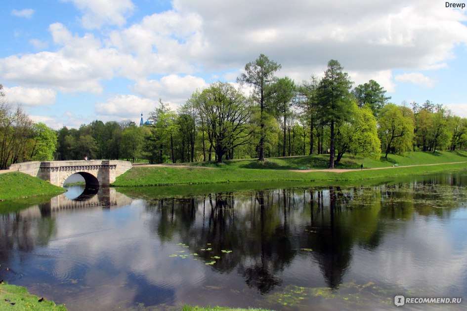 Гатчинский парк фото