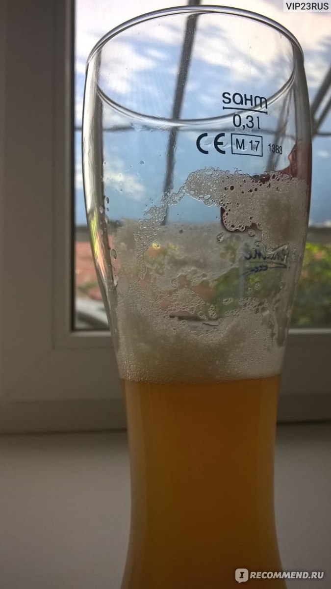 Пиво Carlsberg Wild Unfiltered Pilsner фото