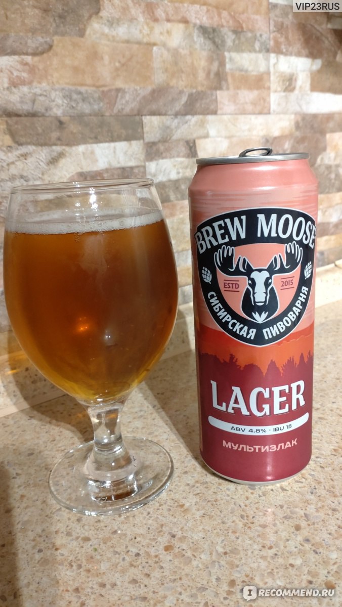 Пиво Brew Moose Lager - «