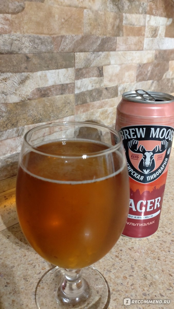 Пиво Brew Moose Lager - «