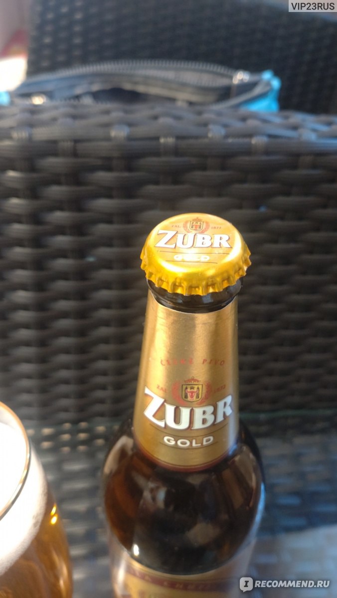 Пиво Zubr Gold - «Золотое пиво от Зубра» | отзывы