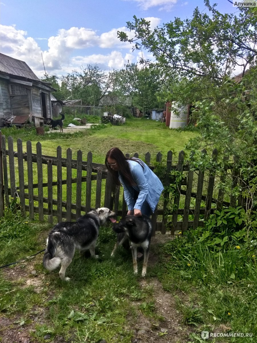 Ветеринарный препарат Karizoo Уристоп - «Лужи после стерилизации по всей  квартире? Попробуйте Уристоп. P.S. Только для девочек» | отзывы