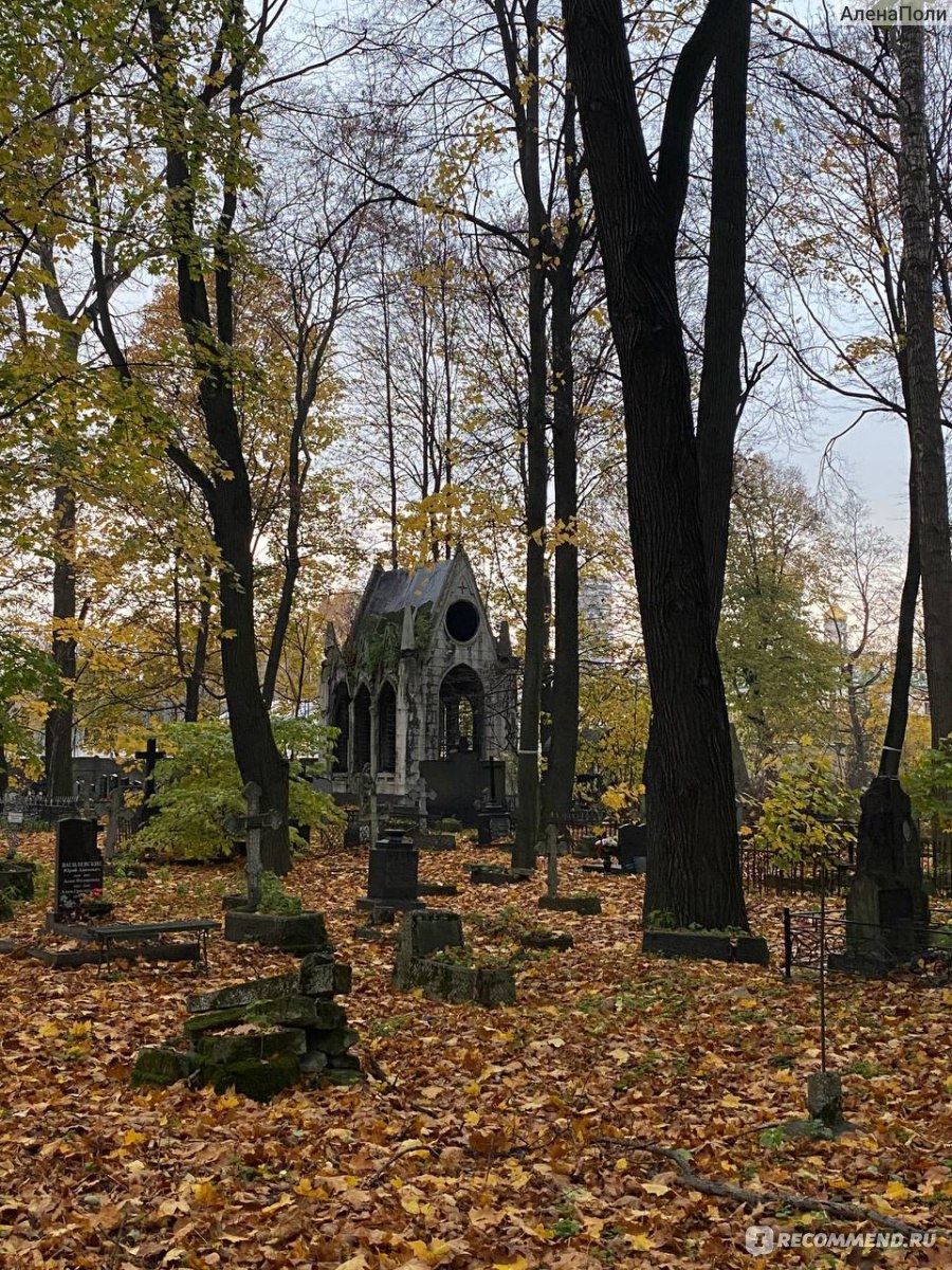 Новодевичье кладбище, Санкт-Петербург - «Сердце мудрых - в доме скорби,а  сердце глупых - в доме веселья...» | отзывы