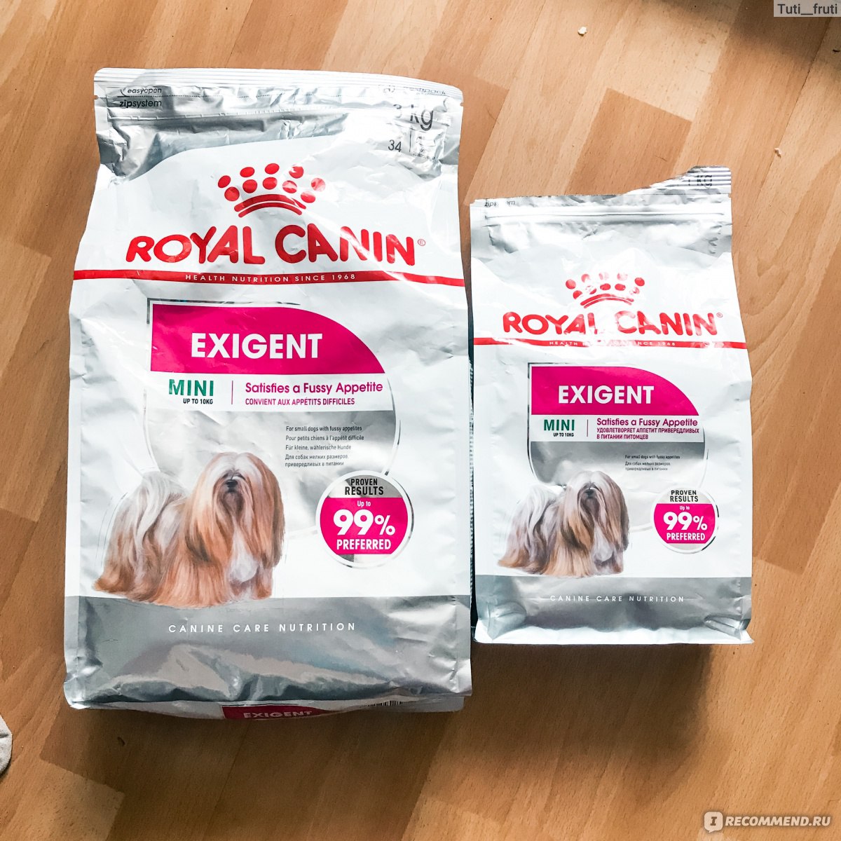 royal canin exigent small fussy dogs