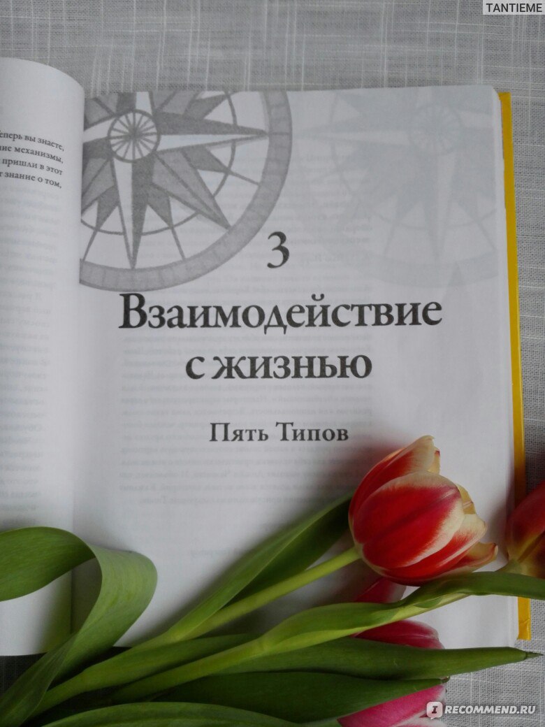 Дизайн человека. Четан Паркин - «Дизайн Человека - слышали ли вы о таком?! Как научиться пользоваться своей энергией и получать от жизни удовольствие. Это возможно, главное попробовать :)» | отзывы