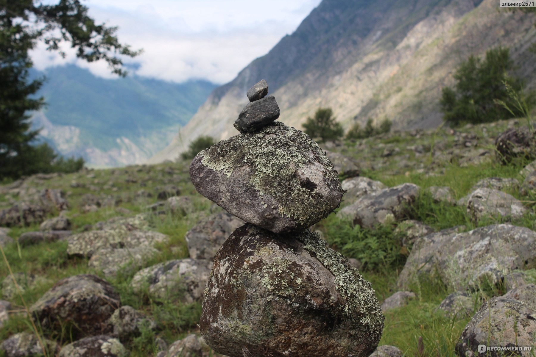 Каменные грибы в крыму фото и описание