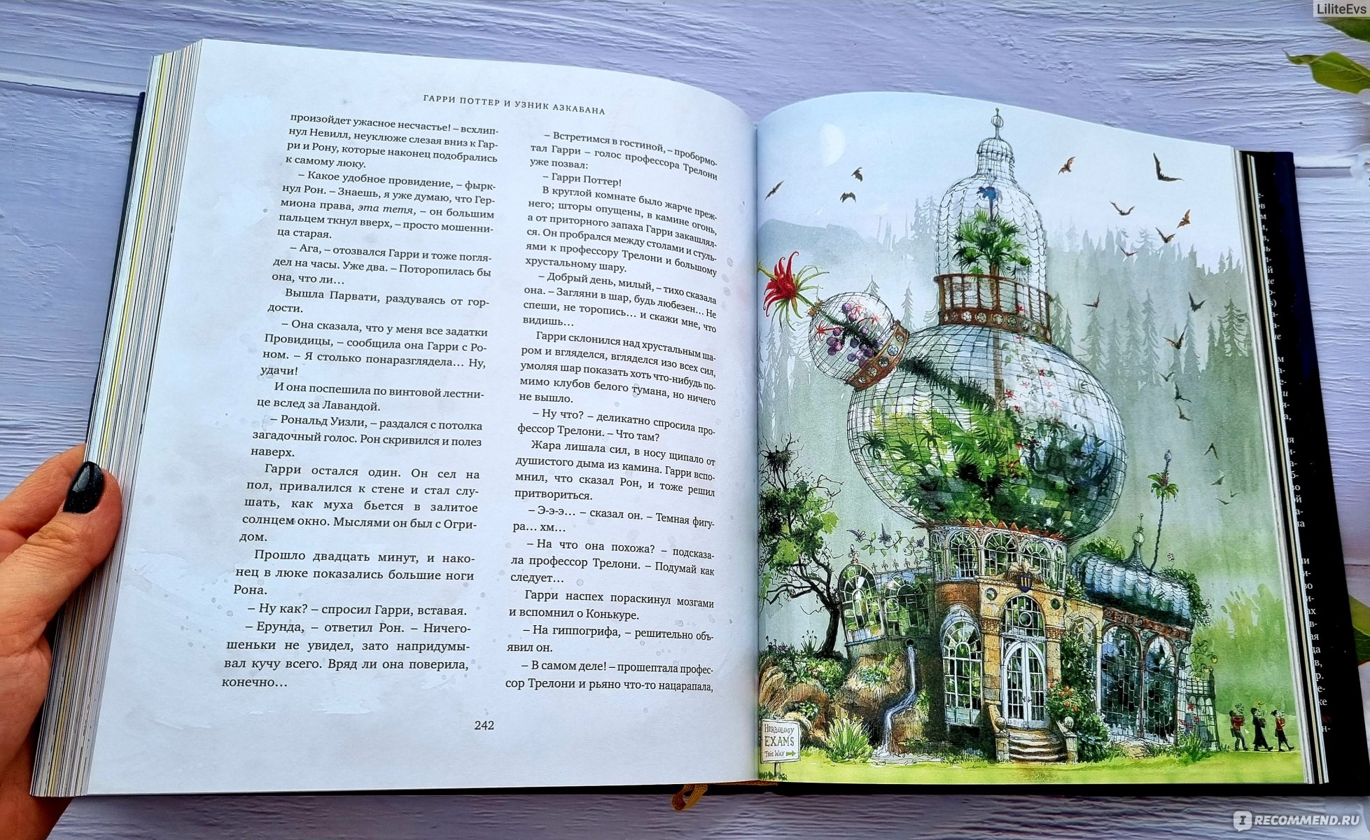 Гарри Поттер иллюстрации к книгам Джим Кей
