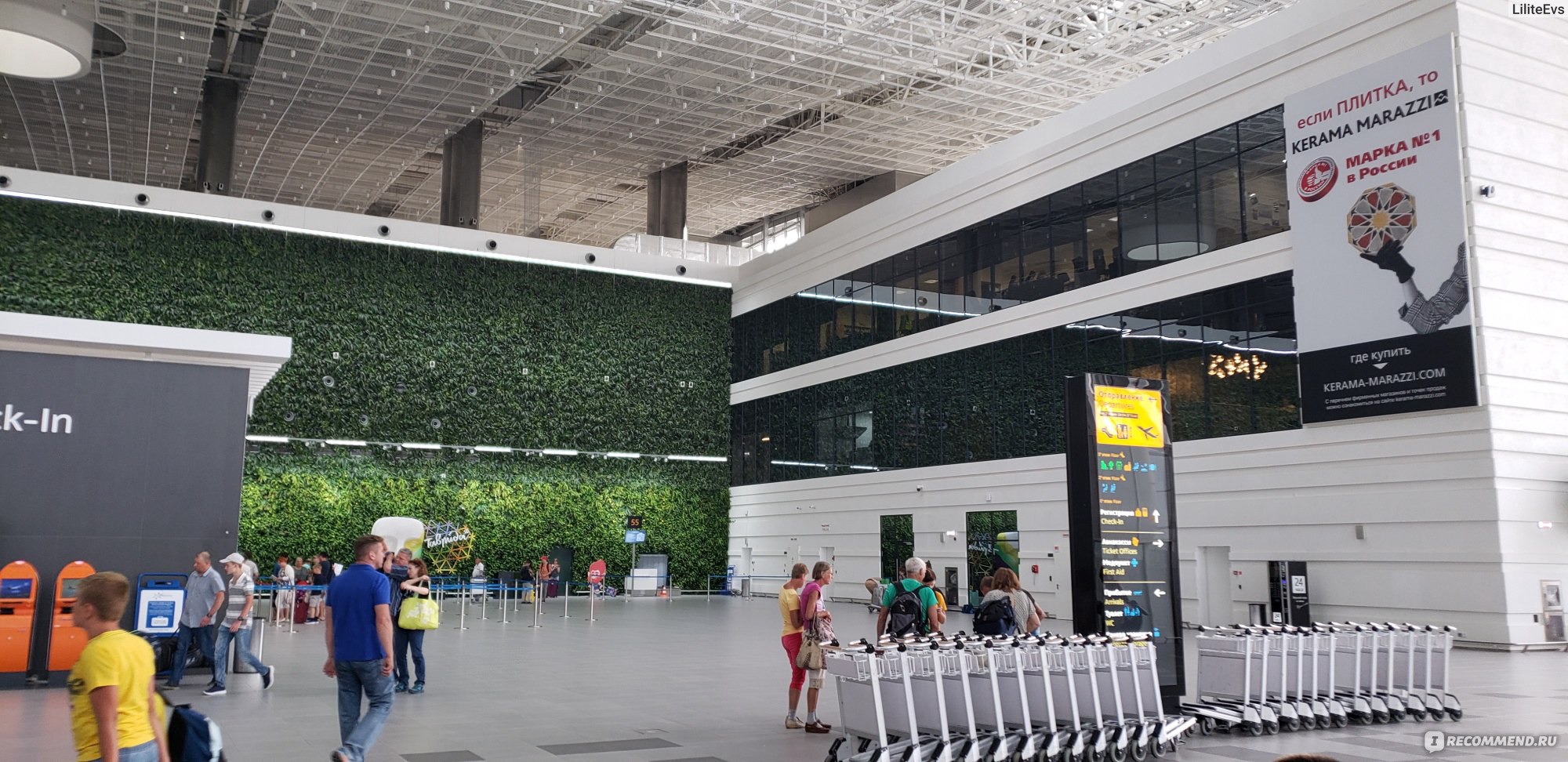 аэропорт симферополь зеленая стена