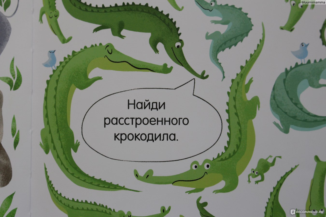 Найди и покажи. Животные. Попова Евгения, Рами Лилу - «Книга-гляделка  