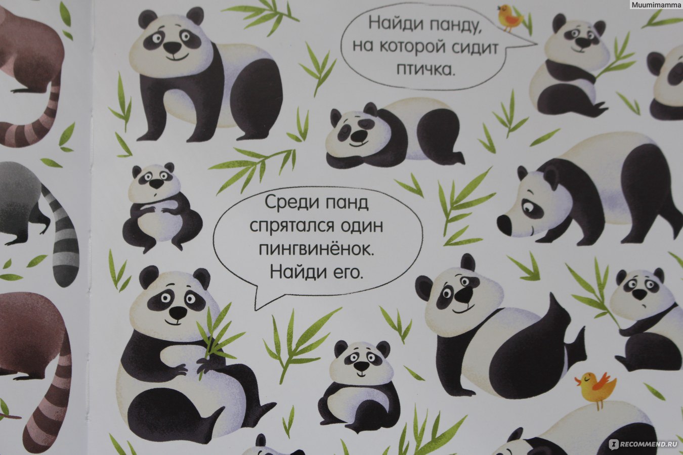 Нарисуй одно животное которое тебе нравится и другое которое не нравится заполни карточки