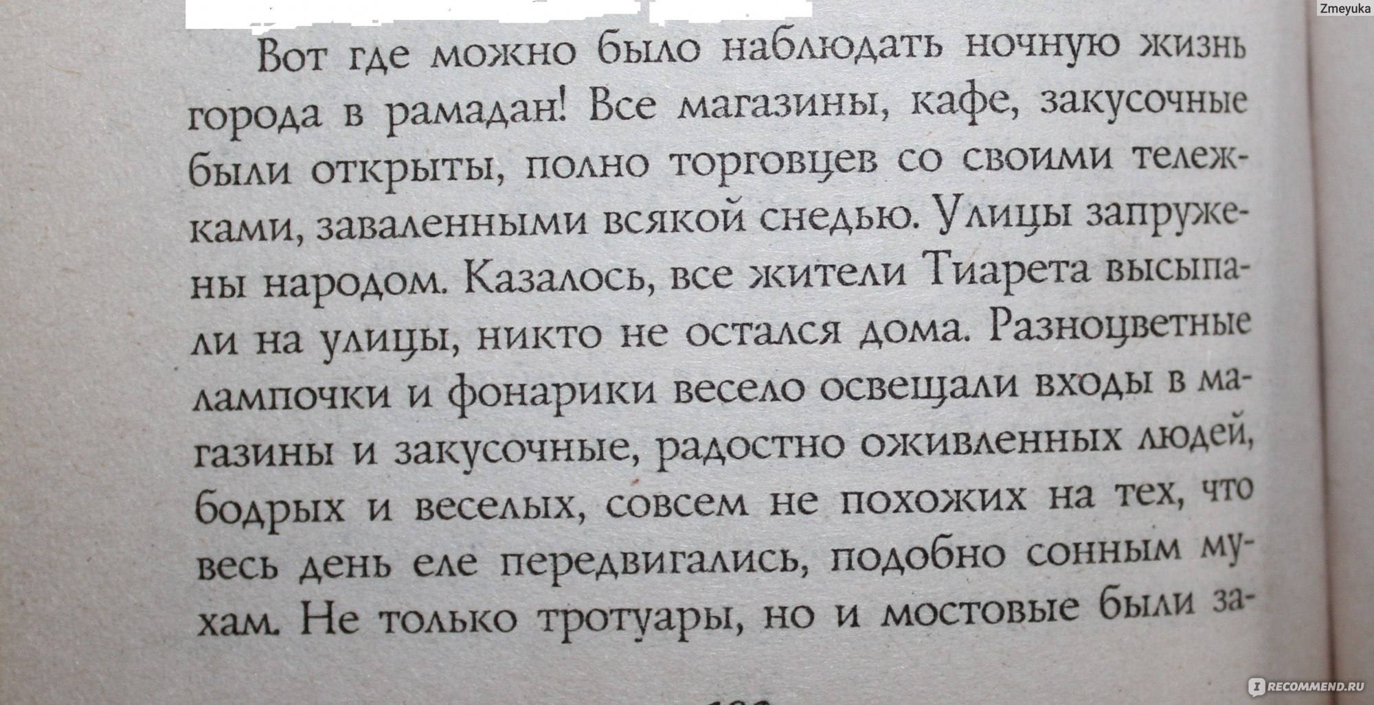 Сокровища. Иоанна Хмелевская - ««Первый раз в его полицейской практике  арабских воров обокрали польские дети!»» | отзывы