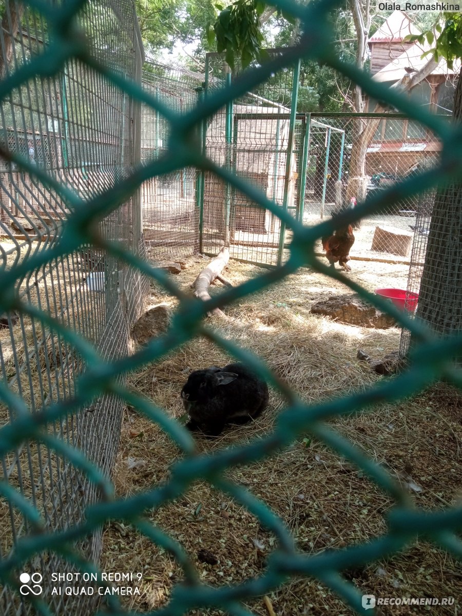 Евпаторийский зоопарк тропик парк