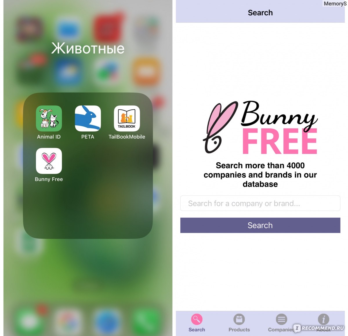 Приложение Bunny Free - «Быстро проверить компанию на отсутствие тестов на  животных? - Легко! 🐇🐁🐒🐕» | отзывы