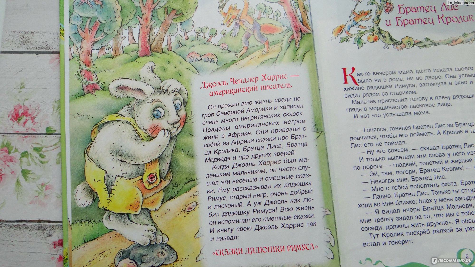 Книга про кролика и лиса