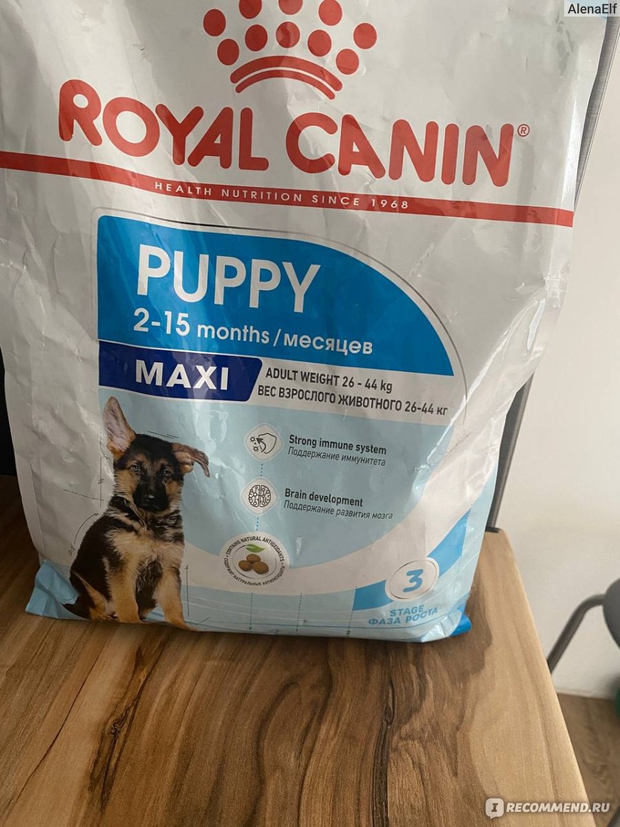 Корм для собак Royal Canin Maxi для крупных пород - «Собака аллергик — горе  в семье! Нашему пёселю корм не подошел совсем.» | отзывы