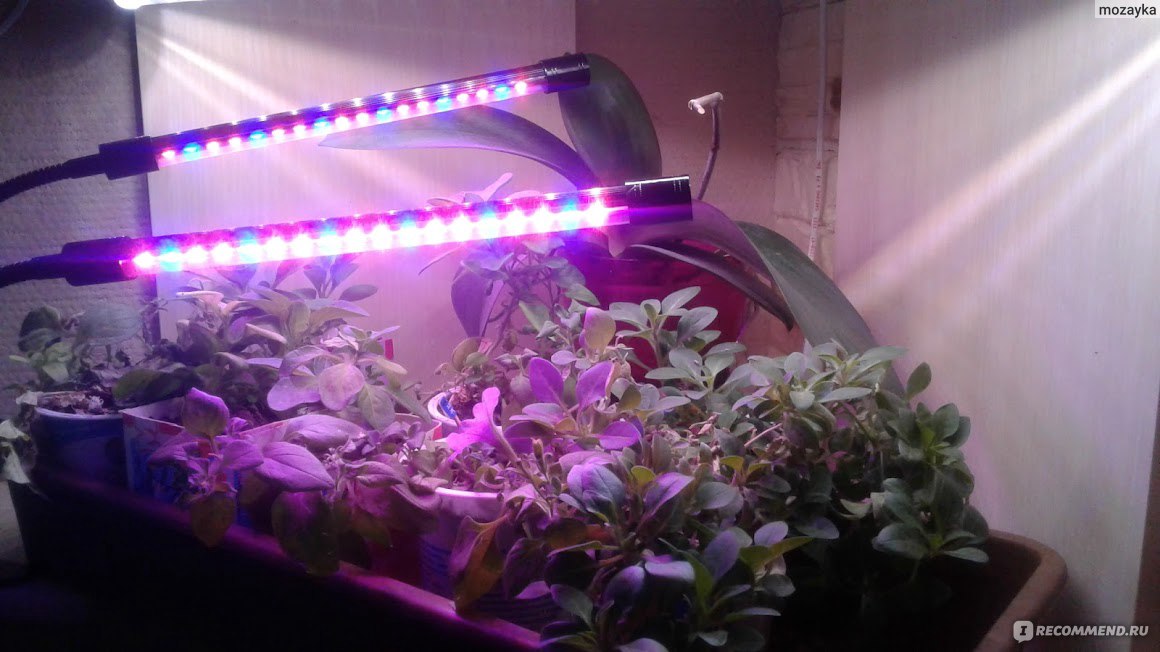 Led лампы для растений