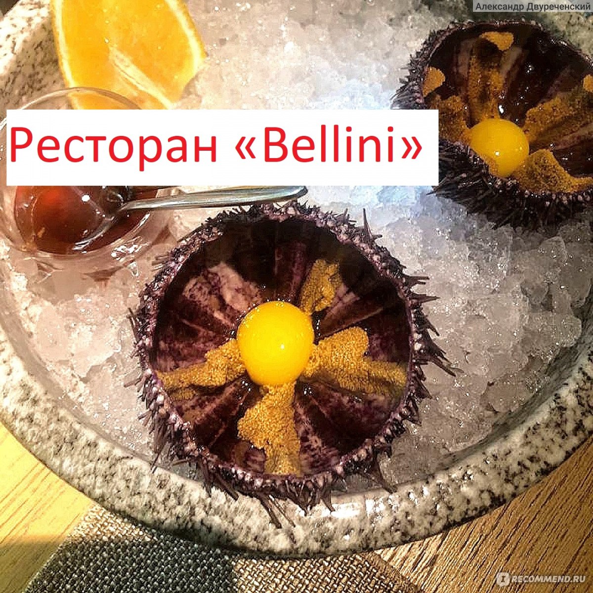 Bellini, Краснодар - «Берегите себя!» | отзывы