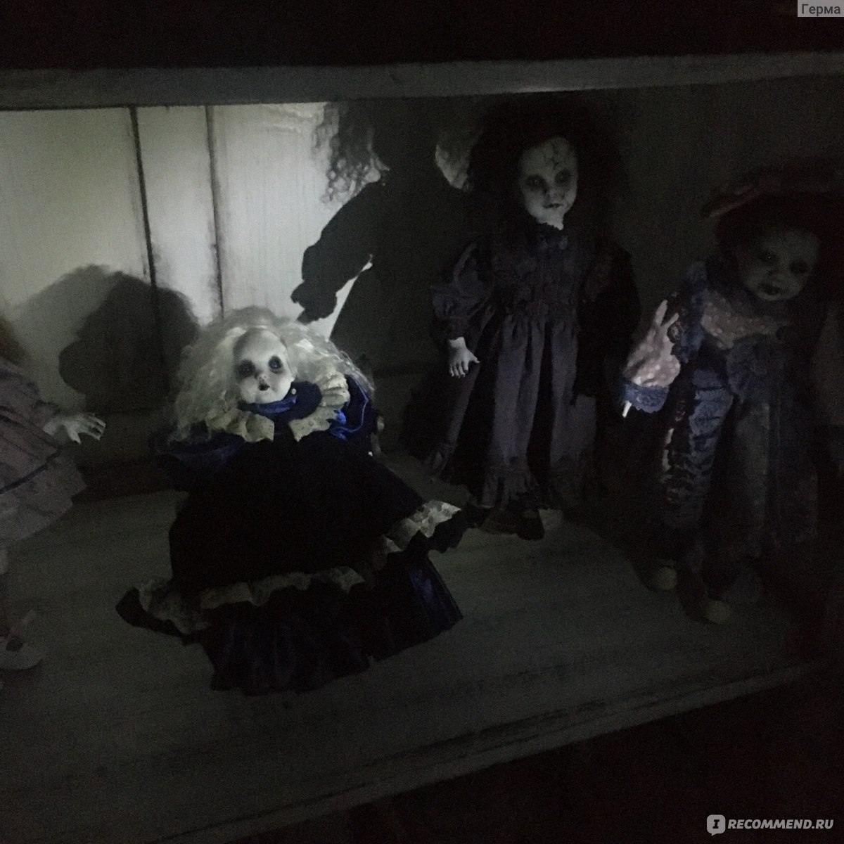 музей мертвых кукол