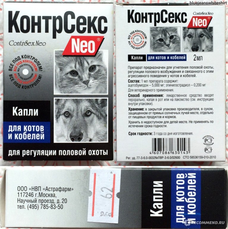 Препараты для регуляции полового поведения кошек