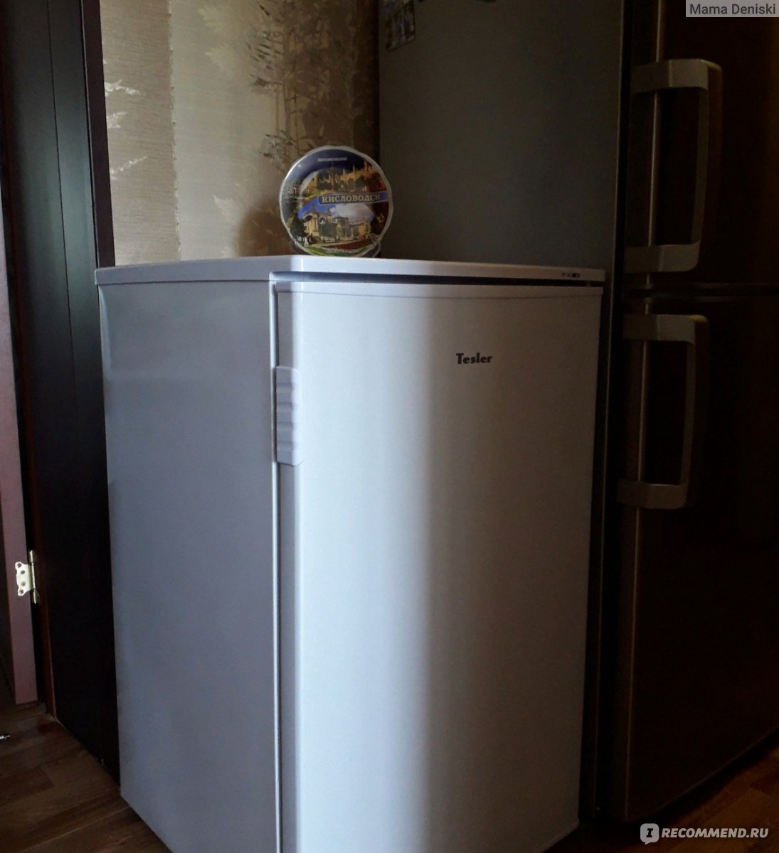 морозильный шкаф tesler rf 90