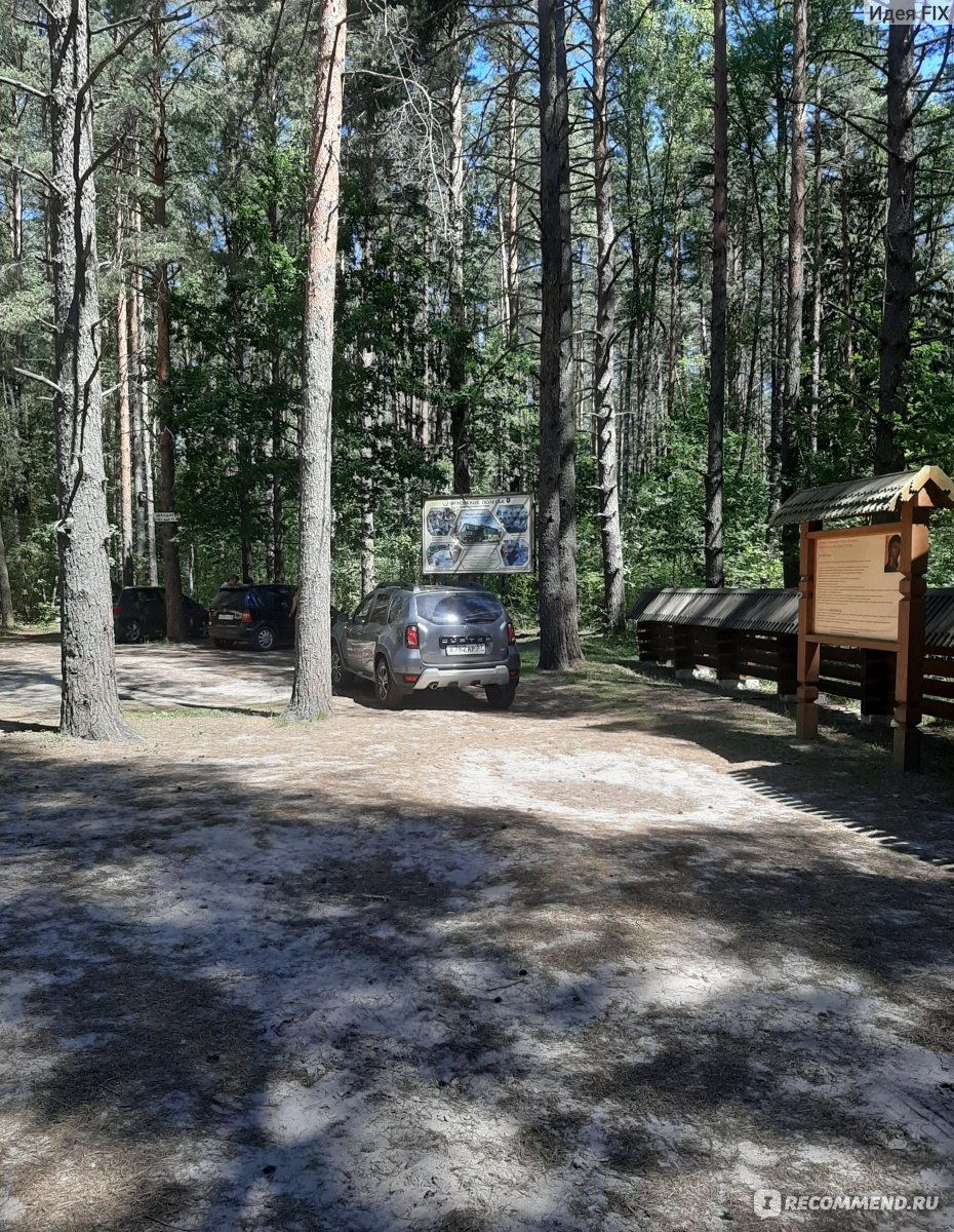 Национальный парк Орловское полесье, Орловская область - «🌲Орловское  полесье - сказочное место! Рай для глаз и души🥰» | отзывы