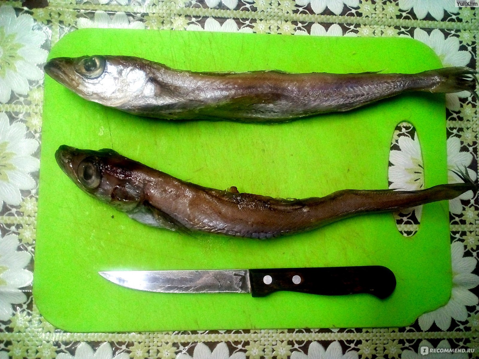 Рыба Путассу Фото С Головой Как Выглядит