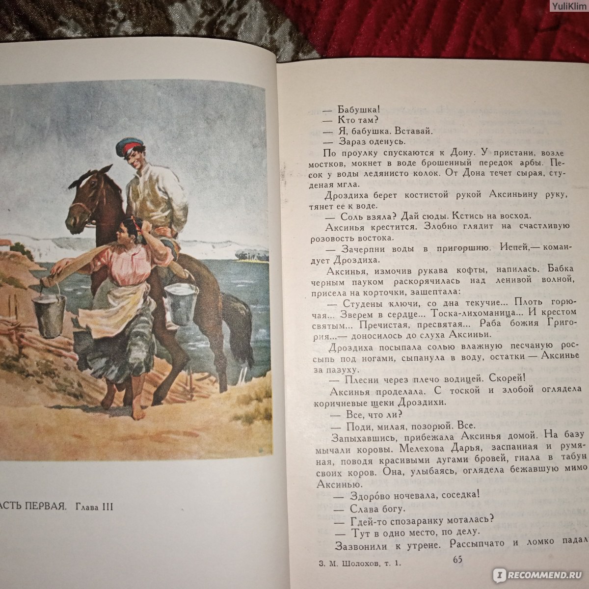 Тихий Дон, Михаил Шолохов - «Жили как умели. Любили. Боролись за то, во что  верили. А то, что вера разная, так это и от самого человека зависит и от  его окружения.» | отзывы