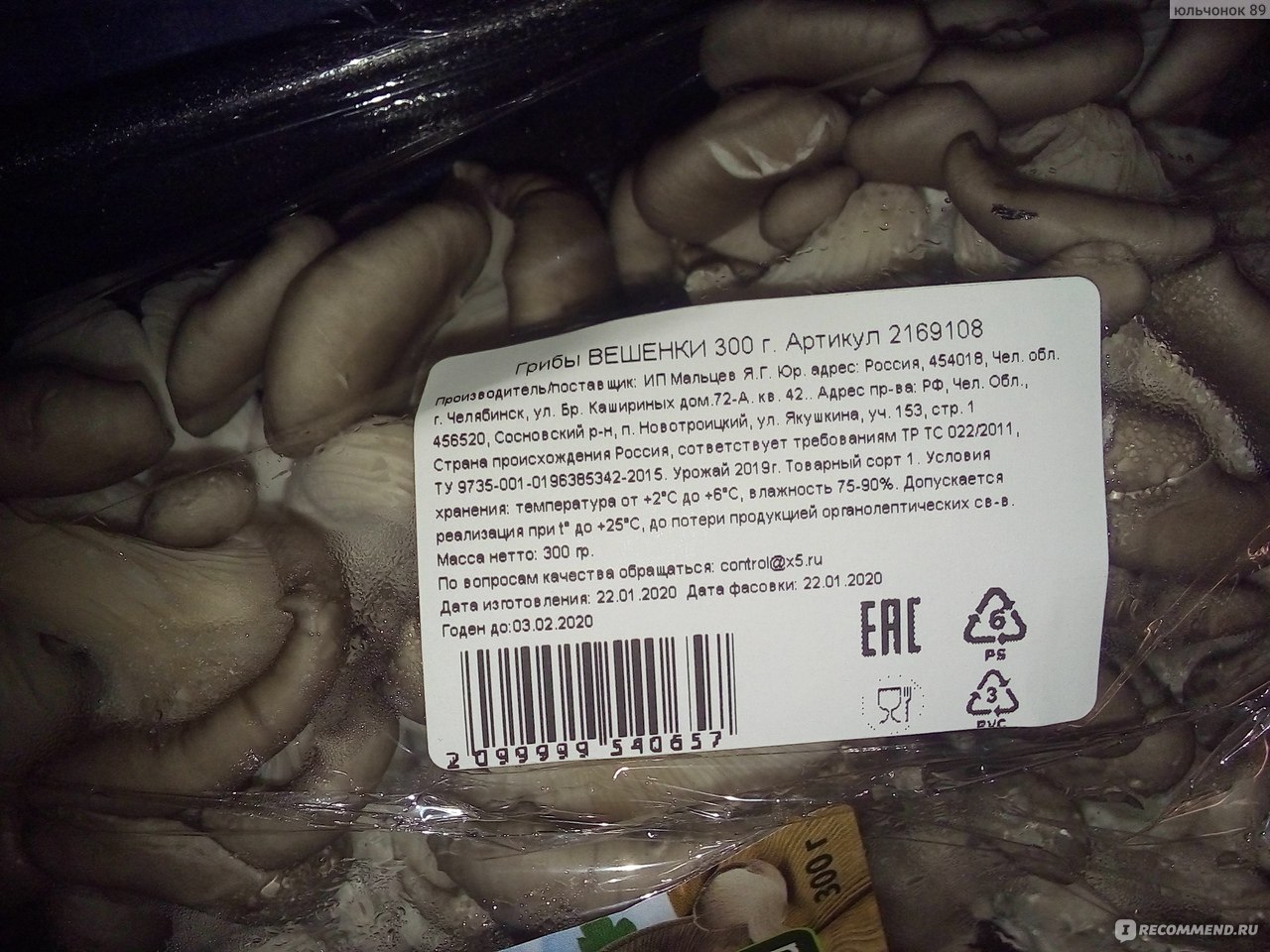 Вешенки грибы Пятерочка