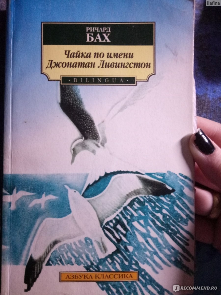 Чайка по имени. Чайка Ливингстон книга. Чайка Джонатан Ливингстон книга. Чайка книга Ричард Бах. Чайки по имени Джонатан Ливингстон книга.