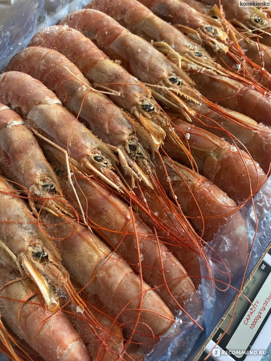 Креветки Valastro Argentine Red Shrimp - «Размер L2 21/30. Это самые  большие, что я только видела. Половину занимает голова и пустота. Усы у  некоторых особей по пол метра!🍤» | отзывы