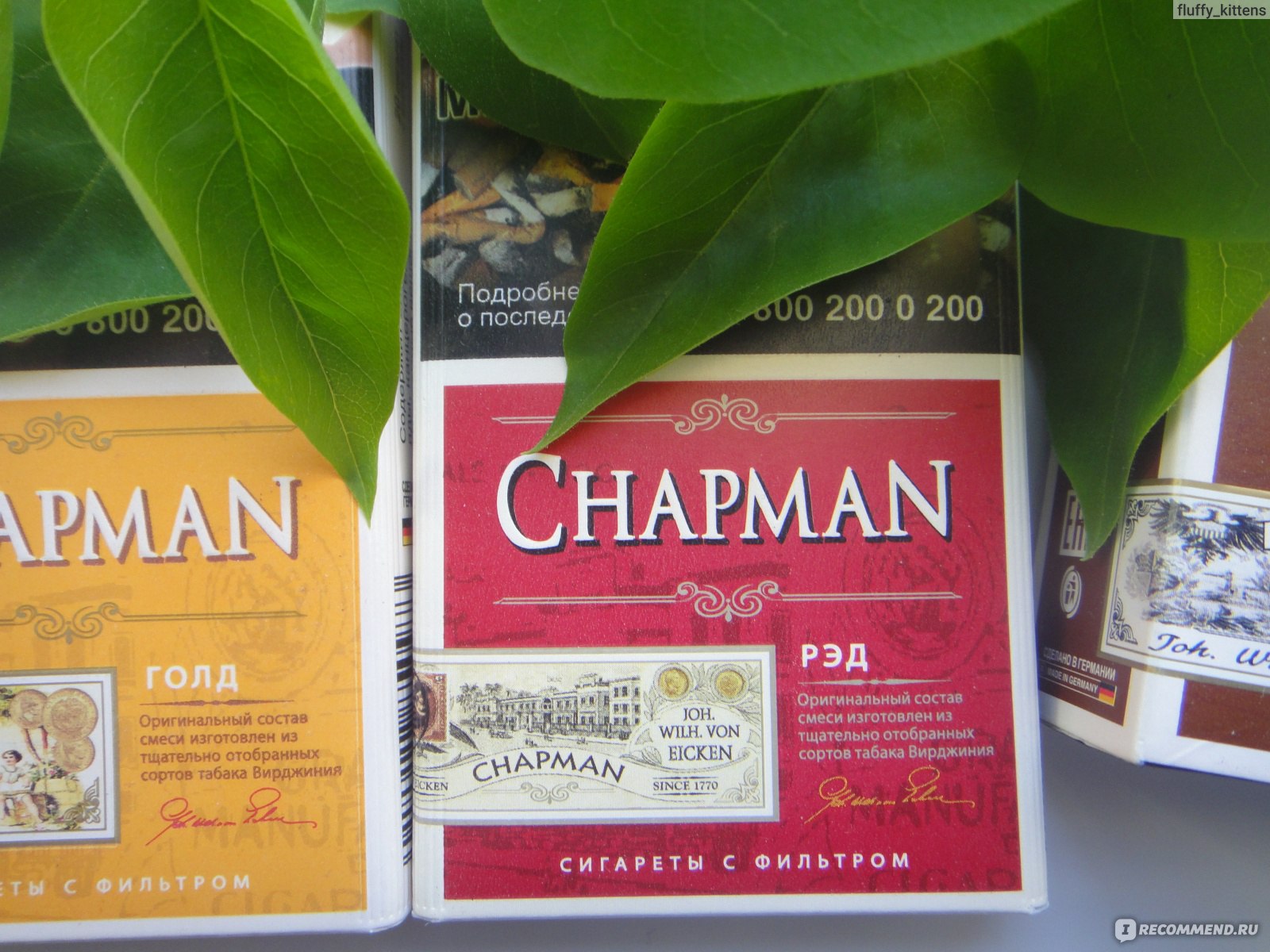 Чапмен вкусы. Chapman Грин вкус. Chapman Рэд. Чапман сигареты. Сигареты Чапман Грин.