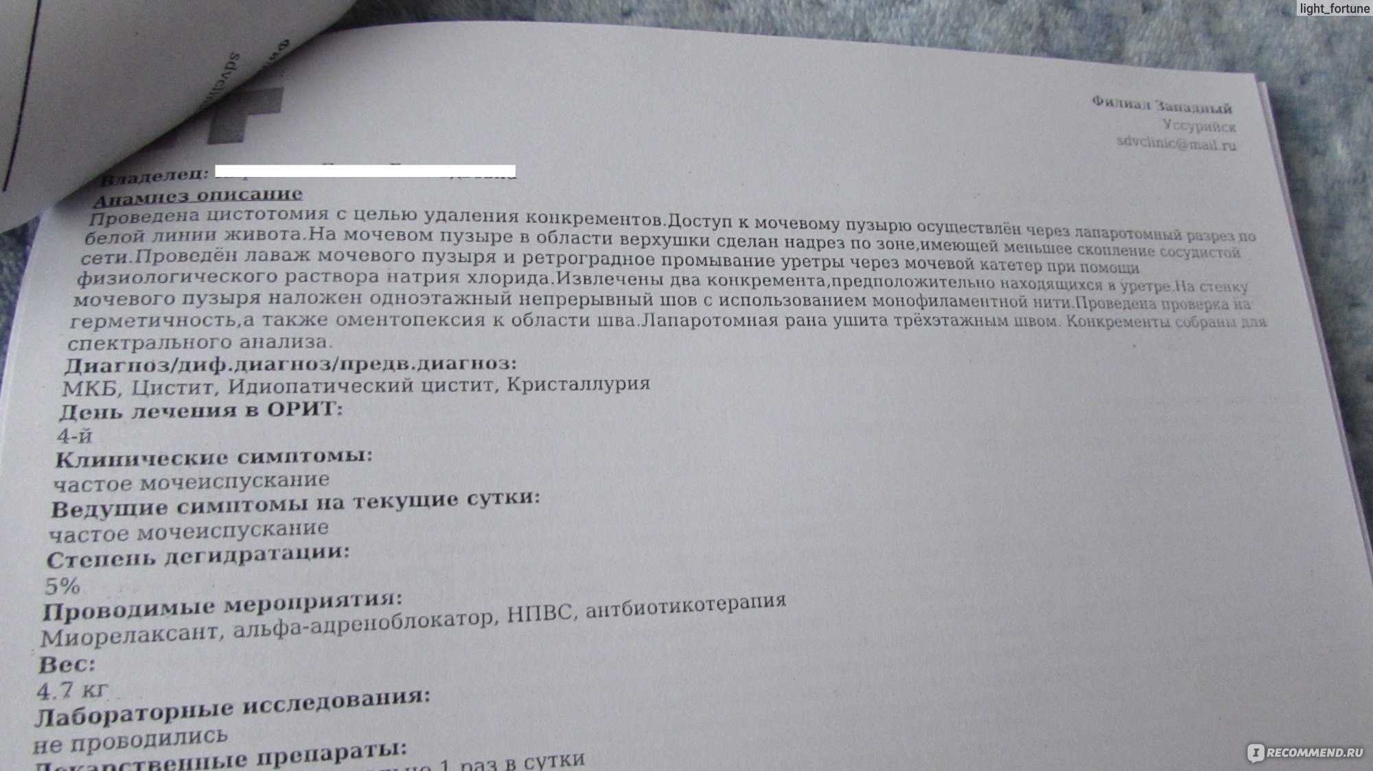 Услуги ветклиник Цистотомия - «Цистотомия или уретростомия? Моё мнение  после двух 