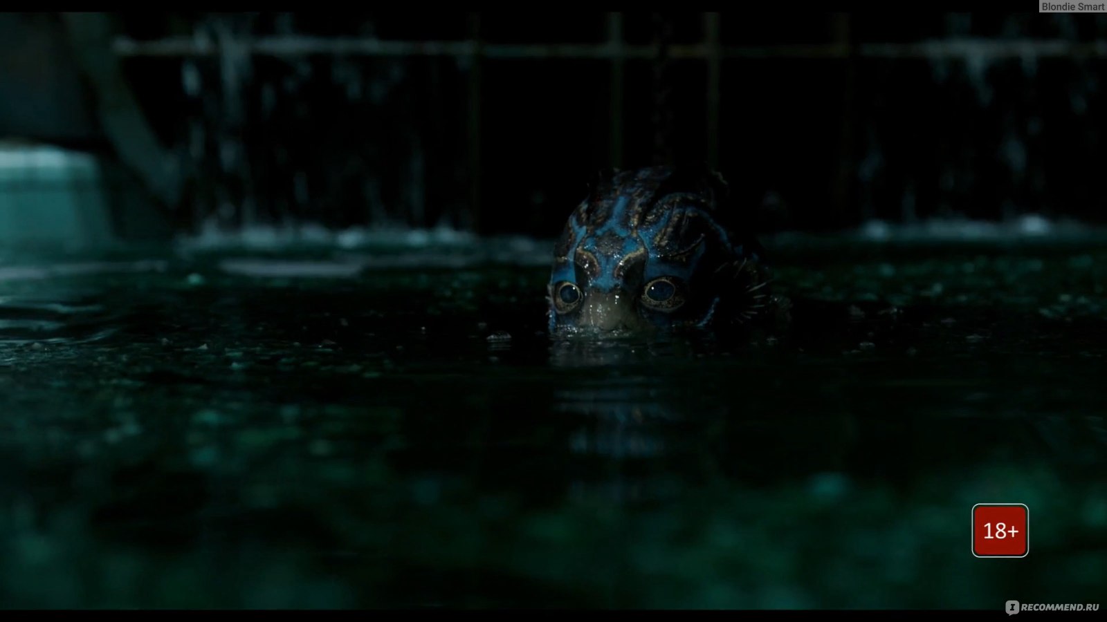 Форма воды / The Shape of Water (2017, фильм) - «Все смешалось в фильме  Дель Торо: расизм, гомофобия, зоофилия, ну и без 