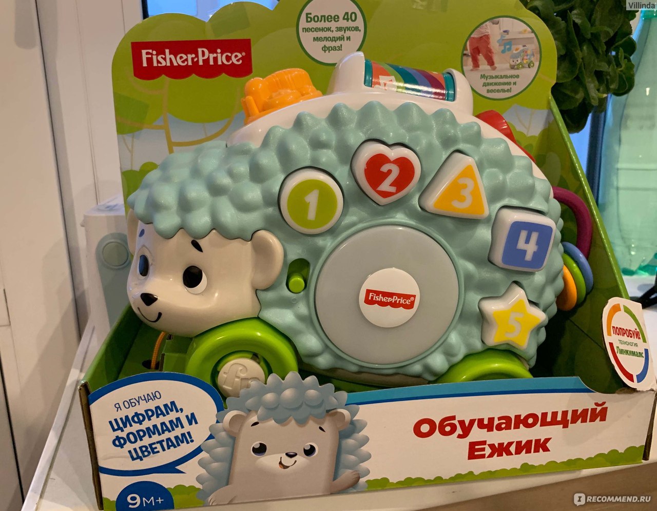 Fisher-Price Игрушка обучающая Ежик музыкальная GJB14 - «В какие игрушки играют  дети звёзд? Ёжик, который популярен в Америке и только недавно появился в  России. Уникальная технология Linkimals.» | отзывы