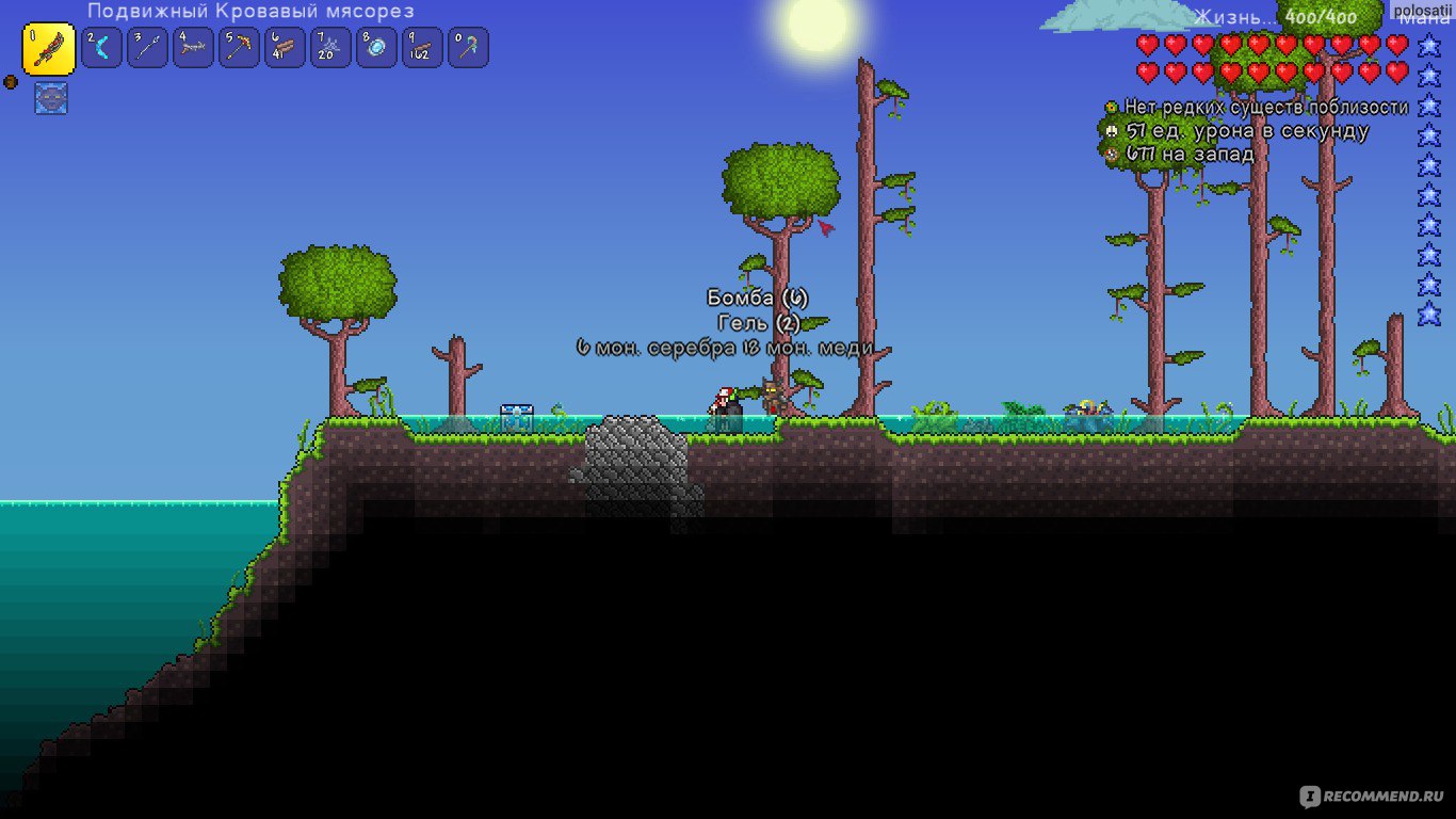 Ракушка terraria